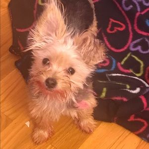 Meet your Posher, Michaela